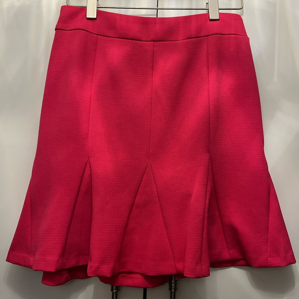 NWT Banana Republic Pink Ruffle Flounce Peplum Skirt 6